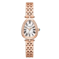 ساعت مچی زنانه جولیوس مدل JA-1526D