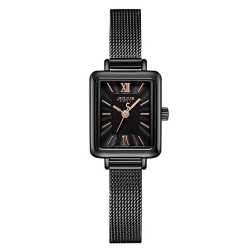 ساعت مچی زنانه جولیوس مدل JA-1153E